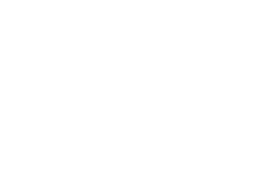 LOWE Logo